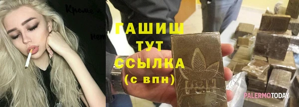 индика Заволжье