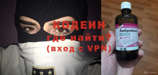 сатива Заводоуковск