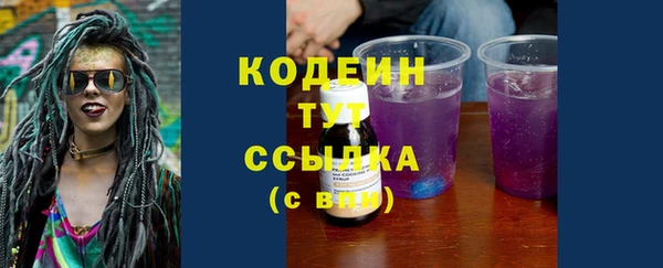 сатива Заводоуковск