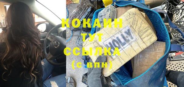 индика Заволжье