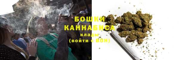 индика Заволжье