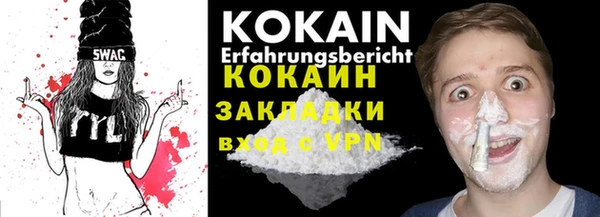 индика Заволжье