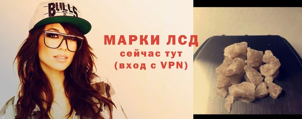 индика Заволжье