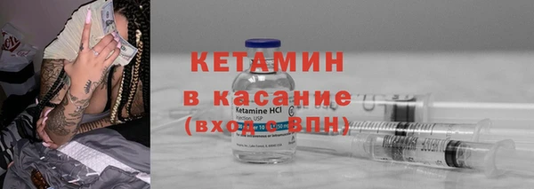 сатива Заводоуковск