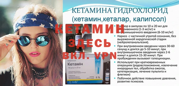 сатива Заводоуковск
