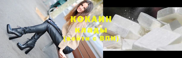 сатива Заводоуковск