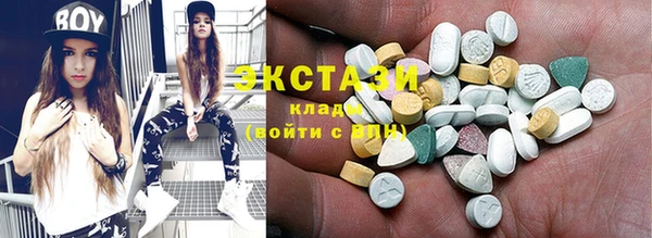 индика Заволжье