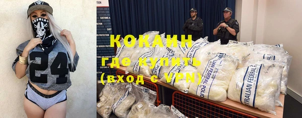 индика Заволжье