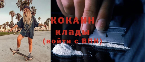 индика Заволжье