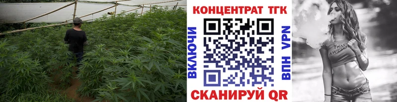 Купить  Чухлома  Дистиллят ТГК гашишное масло 