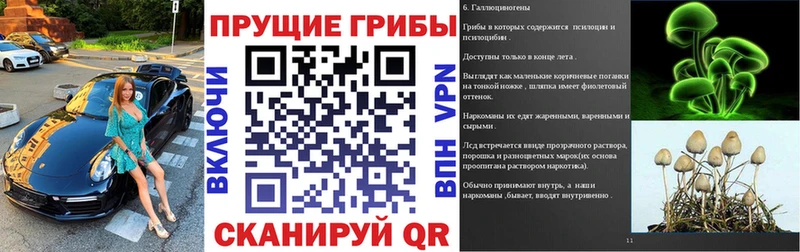 Купить закладки  Чухлома  Псилоцибиновые грибы GOLDEN TEACHER 